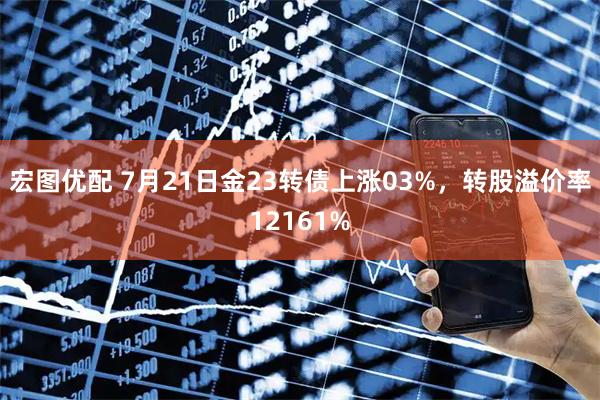 宏图优配 7月21日金23转债上涨03%,转股溢价率12161%