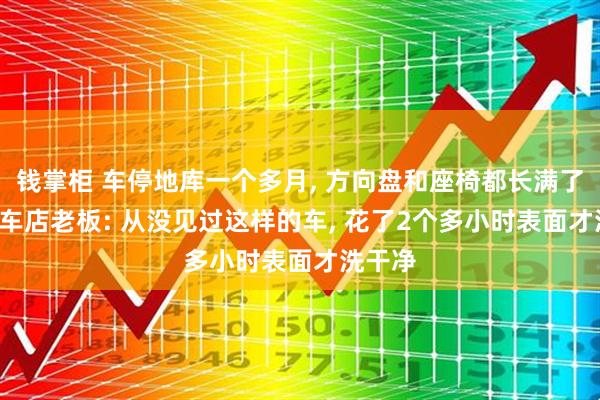 钱掌柜 车停地库一个多月, 方向盘和座椅都长满了毛, 修车店老板: 从没见过这样的车, 花了2个多小时表面才洗干净