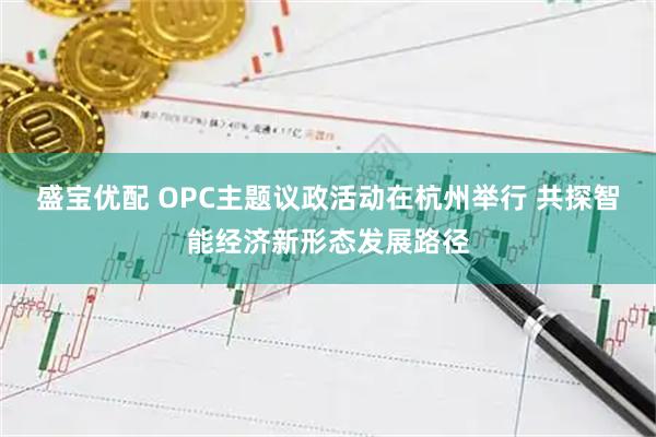 盛宝优配 OPC主题议政活动在杭州举行 共探智能经济新形态发展路径
